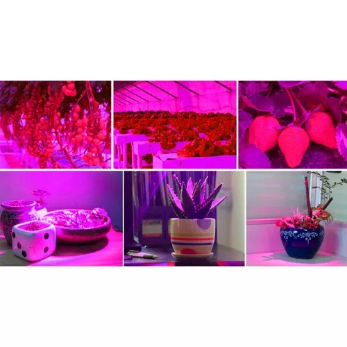 účinný LED panel pre rast rastlín